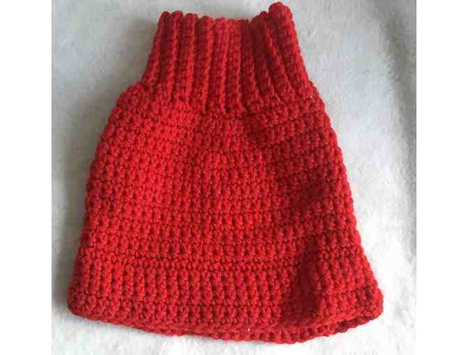 Cat Sweater - Red