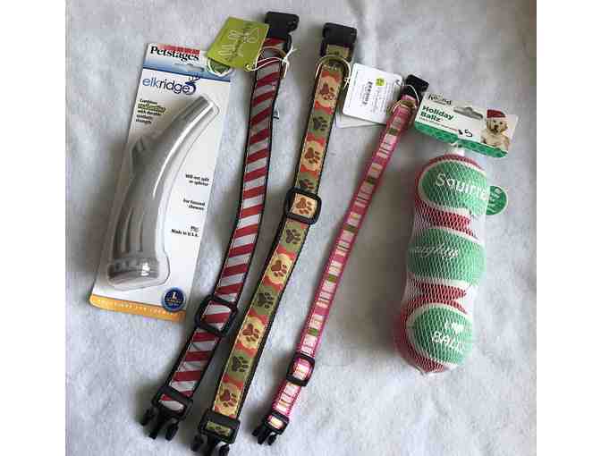 Dog Lovers Bundle - Collars, Balls, and Chew Toy - Photo 1