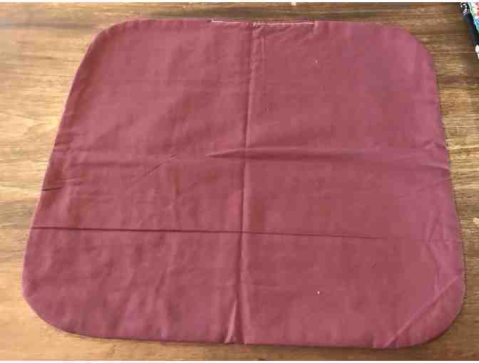 Cat Mat - Texas A&M/Maroon