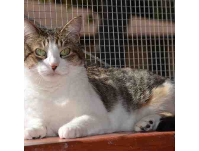 'Spring' in Your Step Sock Wreath!