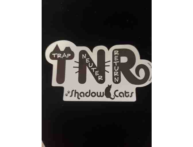 TNR Car Magnets - Photo 1