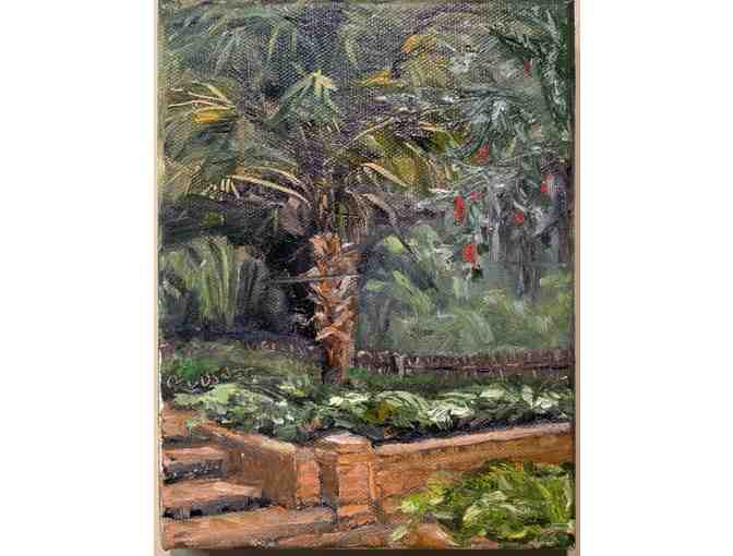 Palm in the Garden - Photo 1