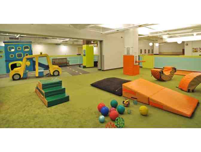 Apple Seeds One Year Red Apple Membership