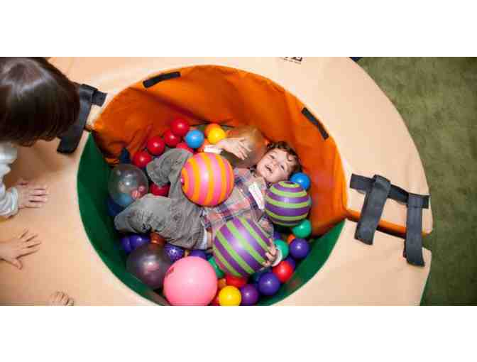 Apple Seeds One Year Red Apple Membership