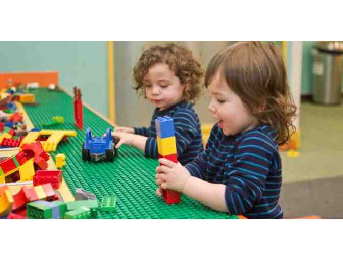 Apple Seeds One Year Red Apple Membership