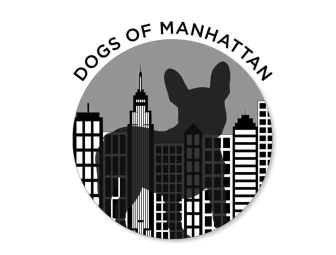 Pet Photography Session & Canvas Print by Dogs of Manhattan