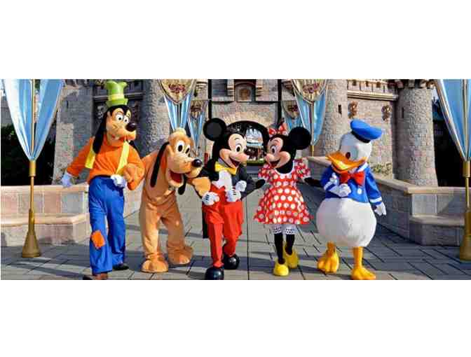 Disney One-Day Park Hopper Passes for Family of 4