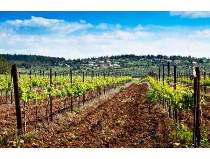 VIP Israeli Winery Tour (Choose from 21 Wineries!) & Assorted Israeli Wine Gift Package