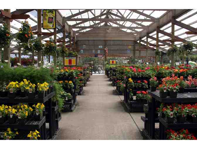 How does your garden grow?