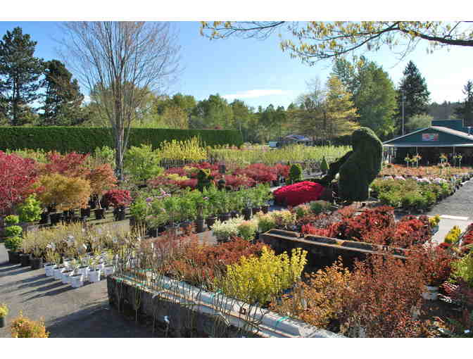 How does your garden grow?