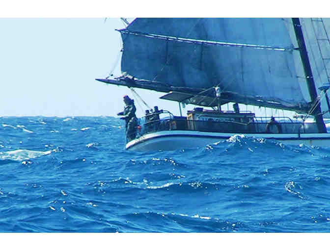 Line-caught Albacore Tuna