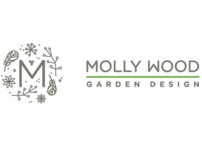 Vintage glass float, driftwood star and $25 Gift Certificate to Molly Wood Garden Design