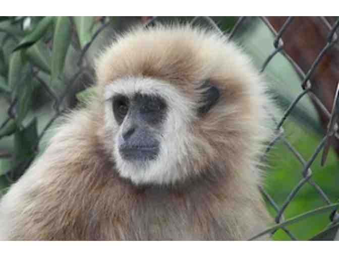 Admission for Four (4) at the Santa Ana Zoo