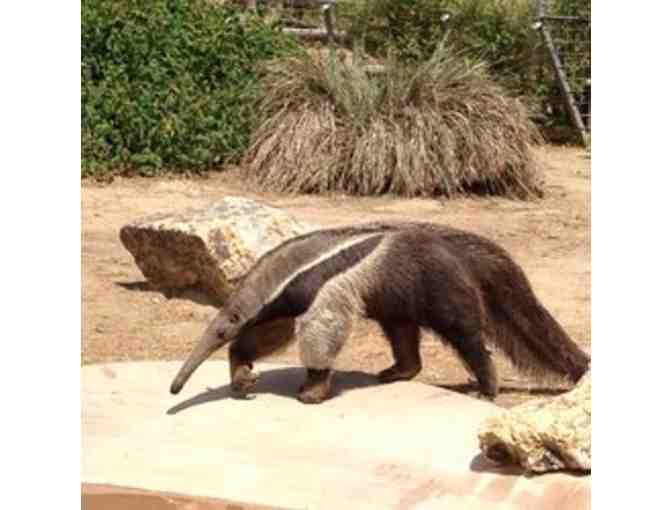 Admission for Four (4) at the Santa Ana Zoo