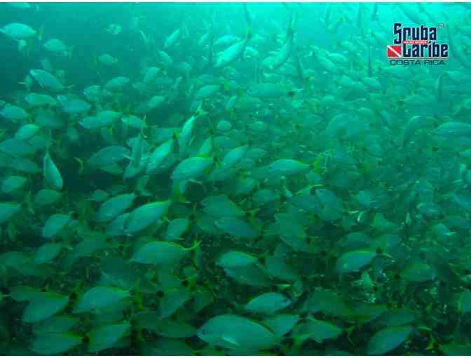 Enjoy 6 nights for 2 at Riu Palace Costa Rica with 6 scuba dives with ScubaCaribe