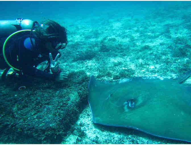 Enjoy 6 nights for 2 at Riu Palace Costa Rica with 6 scuba dives with ScubaCaribe