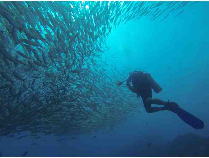 Enjoy 6 nights for 2 at Riu Palace Costa Rica with 6 scuba dives with ScubaCaribe