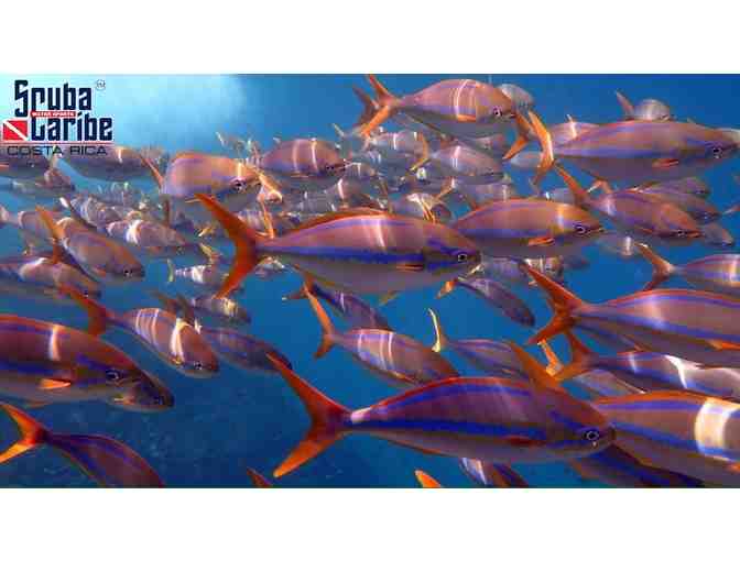 Enjoy 6 nights for 2 at Riu Palace Costa Rica with 6 scuba dives with ScubaCaribe