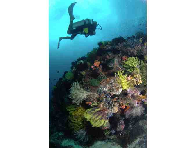 4 Nights for 2 & 6 scuba dives at Azure Dive Resort, Dumaguete City, Philippines