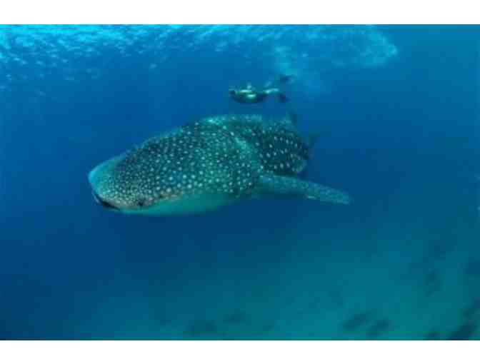 4 Nights for 2 & 6 scuba dives at Azure Dive Resort, Dumaguete City, Philippines