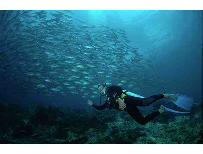 4 Nights for 2 & 6 scuba dives at Azure Dive Resort, Dumaguete City, Philippines