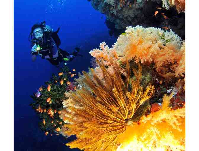 7 nights accommodation for 2 at Volivoli Beach Resort, Fiji & 5 days of scuba diving