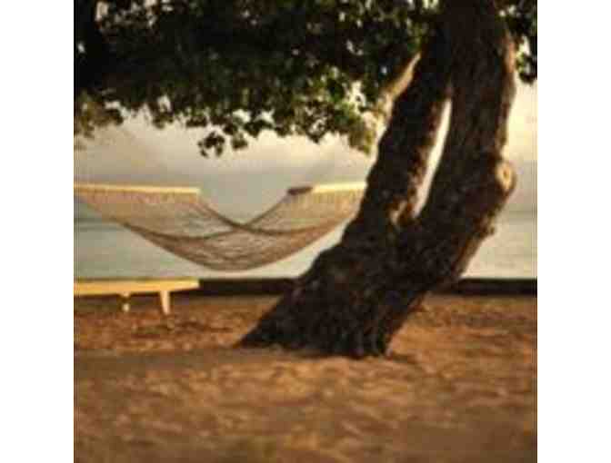 7 nights accommodation for 2 at Volivoli Beach Resort, Fiji & 5 days of scuba diving