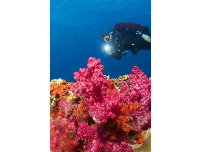 7 nights accommodation for 2 at Volivoli Beach Resort, Fiji & 5 days of scuba diving