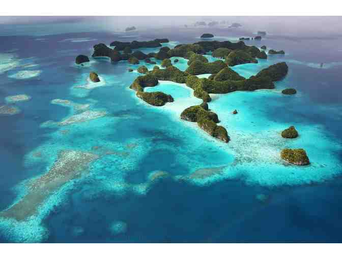 7 nights for 2 at Palau Central Hotel & 5 day diving package at Sam's Tours