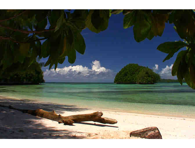 7 nights for 2 at Palau Central Hotel & 5 day diving package at Sam's Tours - Photo 3