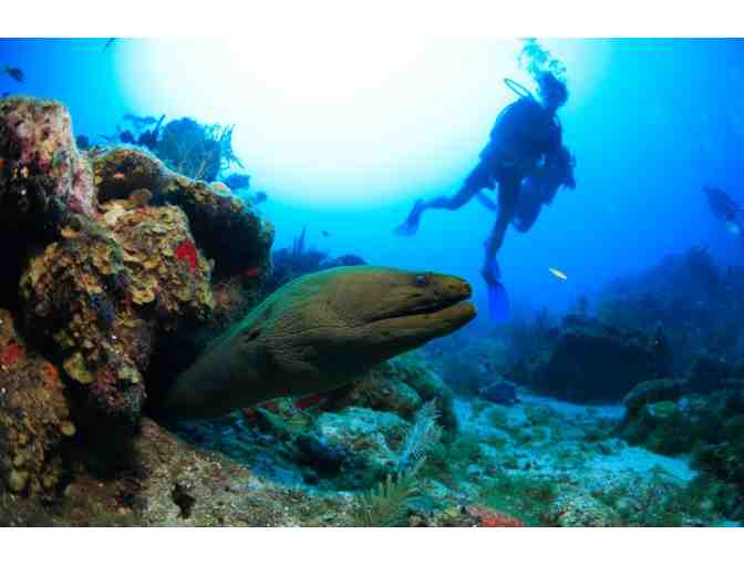 All inclusive scuba diving & 7 nights at Turquoise Bay Resort, Roatan, Honduras