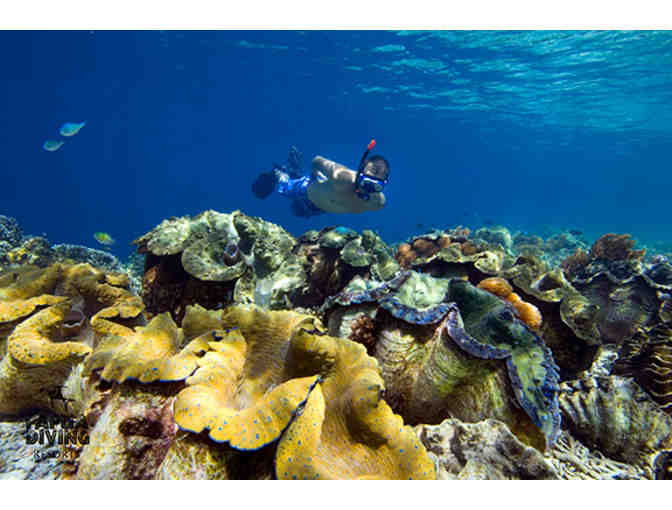 Dive the unbelieveable reefs of Raja Ampat for two with Papua Diving at the Kri Eco Resort - Photo 5