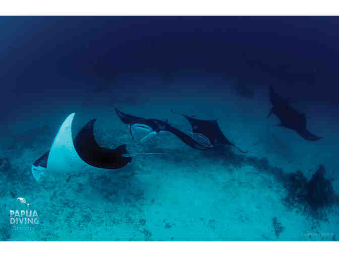 Dive the unbelieveable reefs of Raja Ampat for two with Papua Diving at the Kri Eco Resort