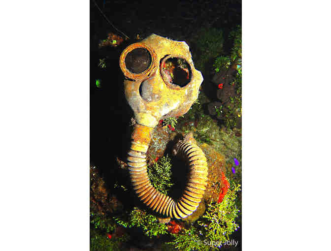 Experience the Wreck Diving in Truk Lagoon aboard a Master Liveaboards' Yacht