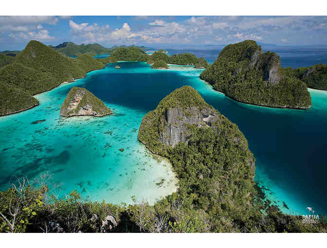 Dive the unbelieveable reefs of Raja Ampat for two with Papua Diving at the Kri Eco Resort - Photo 1