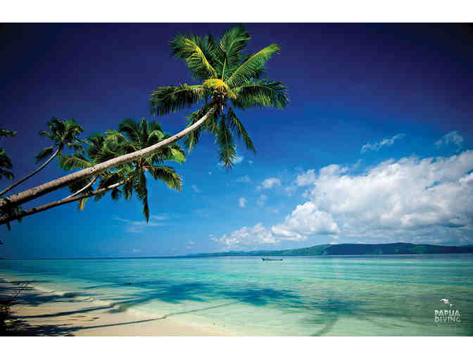 Dive the unbelieveable reefs of Raja Ampat for two with Papua Diving at the Kri Eco Resort