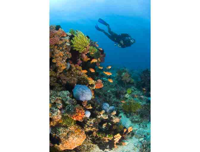 Spend 7 glorious nights & scuba diving for 1 at the Atlantis Dive Resort, Philippines