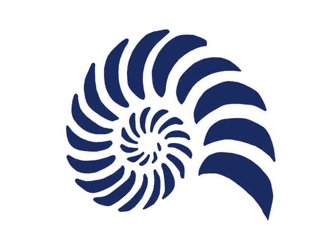 Sterling Silver Bull Shark Pendant by Nautilus Jewelry