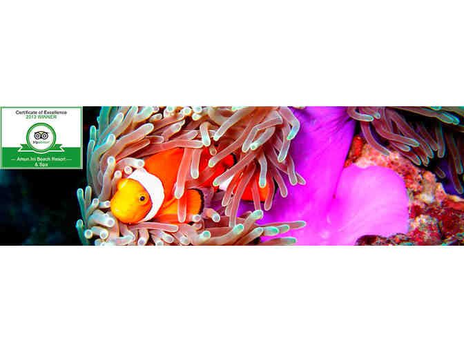 4 nights accmmodation & 8 scuba dives at Amun Ini Resort in the Philippines