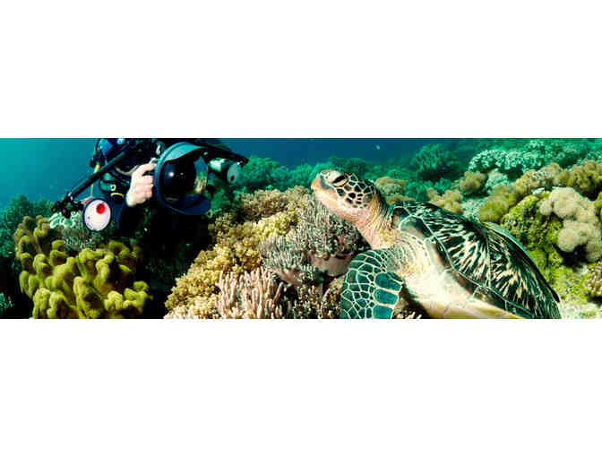 4 nights accmmodation & 8 scuba dives at Amun Ini Resort in the Philippines