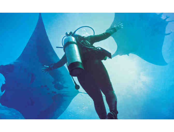 $1,000 gift cert. for Great White Shark or Giant Manta Adventure with Nautilus Explorer