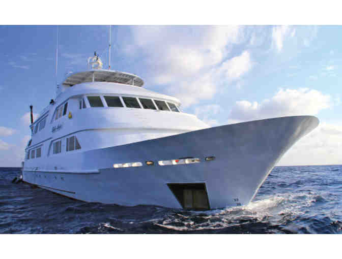 $1,000 gift cert. for Great White Shark or Giant Manta Adventure with Nautilus Explorer