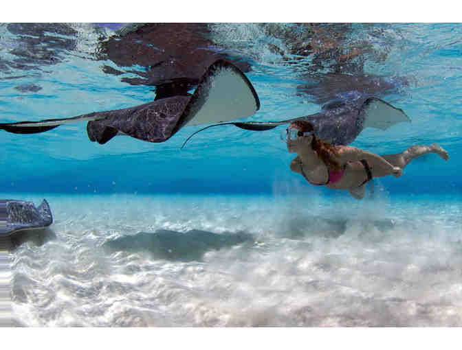 5 nights stay & 4 days of diving for 2 with Ocean Frontiers in the Cayman Islands