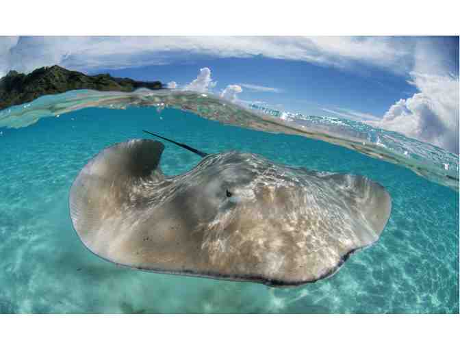 10 Dive Gold Inter-Island pass for scuba diving in French Polynesia