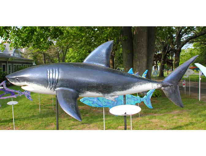Pine Acres Realty's Shark in the Park with stand (see 2nd photo) - Photo 1