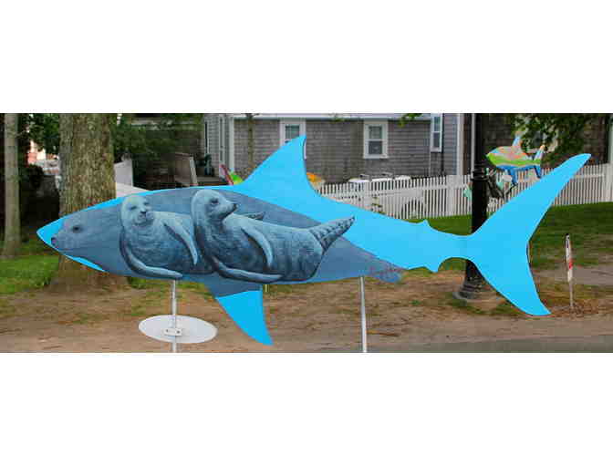 Chatham Health & Swim Club's Shark in the Park - Photo 2