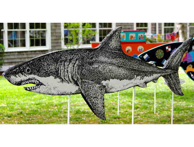 Yankee Ingenuity's Shark in the Park - Photo 2