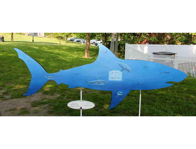 Paine's Patio's Shark in the Park
