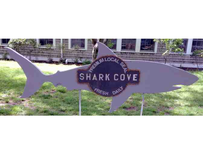 Shareen Davis Studio Workshop's Shark in the Park
