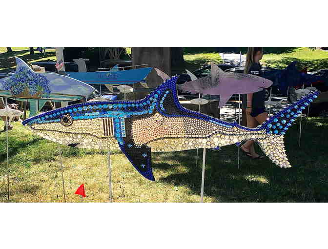 Chatham Clothing Bar's Shark in the Park
